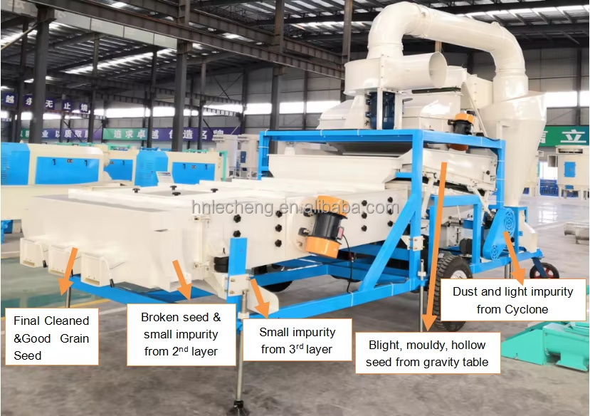 High Productivity Mobile Combined Grain Seed Cleaning MachineHigh Productivity Mobile Combined Grain Seed Cleaning Machine Máquina limpiadora de semillas de granos combinada móvil de alta productividad