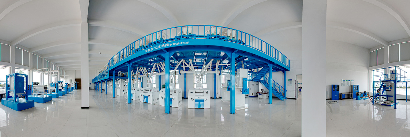 Modern Seed Processing Equipment Assembly Workshop