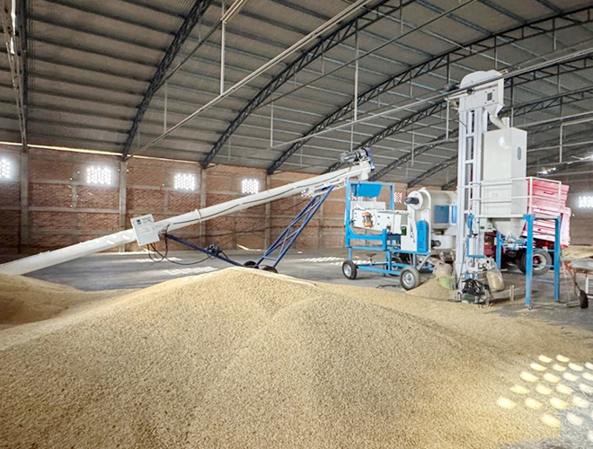Mobile Seed Cleaning Machine Processing Grain Onsite