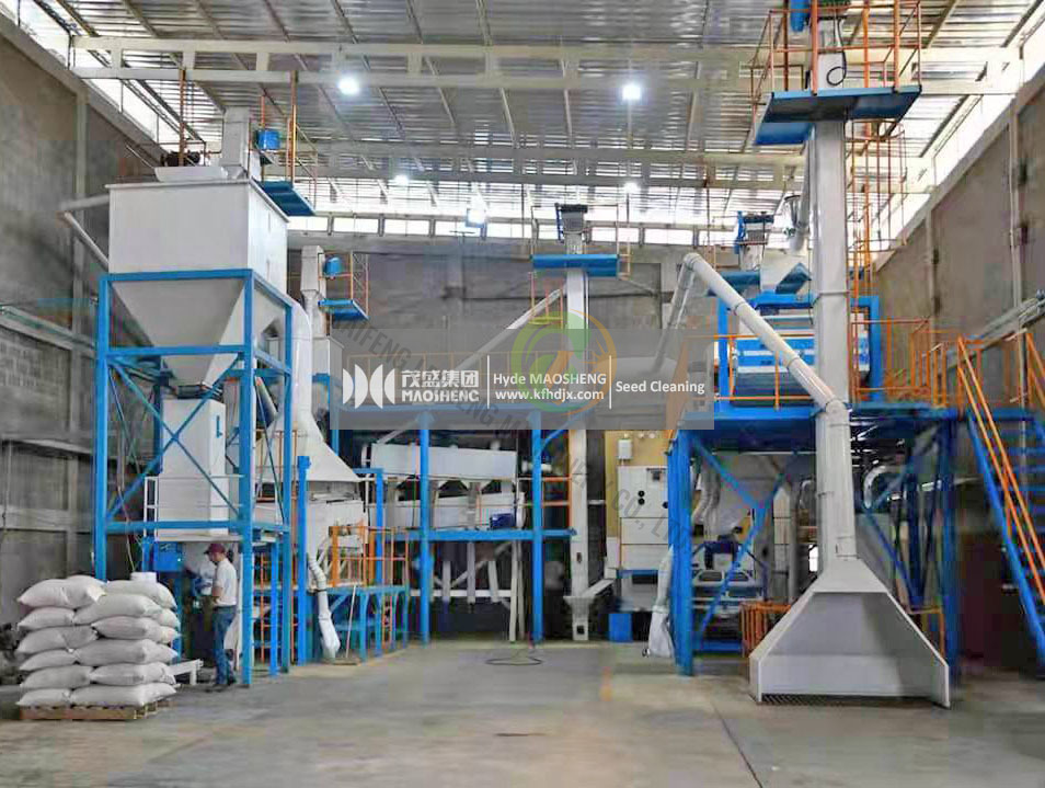 Conjunto completo de máquina de limpieza de semillas de sésamo, planta procesadora de limpieza de semillas de cereales