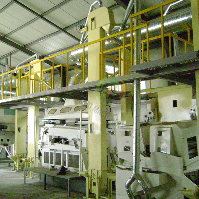 Planta de procesamiento de frijoles personalizable