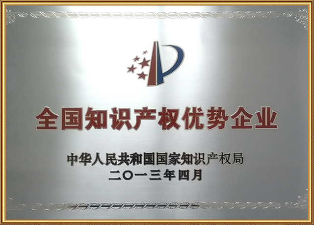 Certificado de Enterprise National IP Excellence