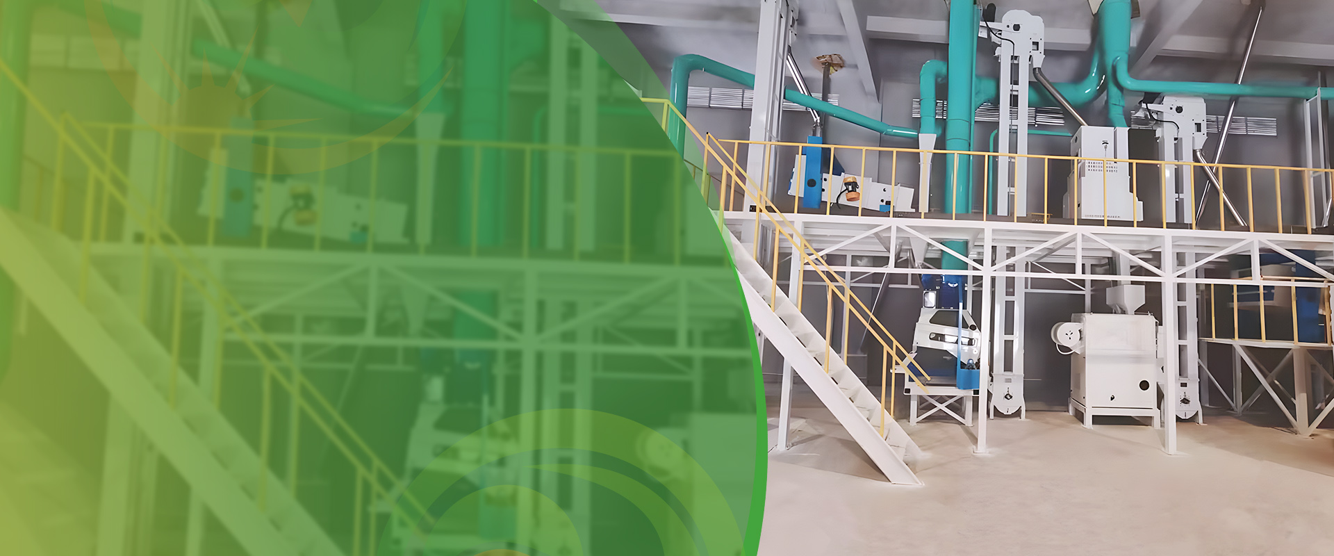 Customized Seed Processing Plant Equipment Setup