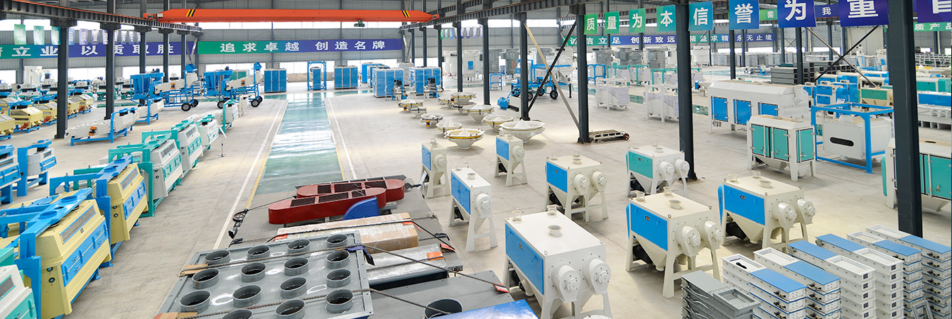 Seed Machinery Production Line Overview